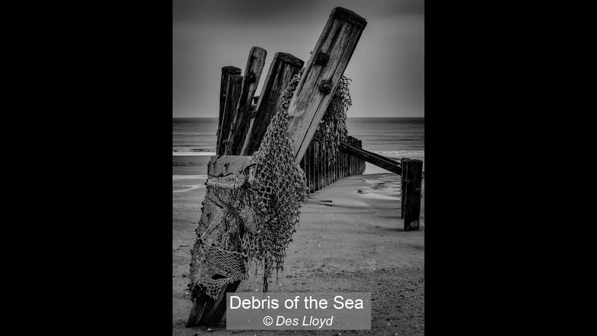 Debris of the Sea